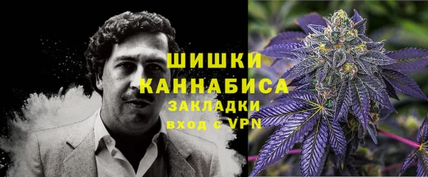 стафф Горнозаводск