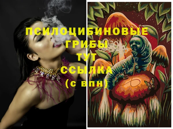 сатива Алексеевка